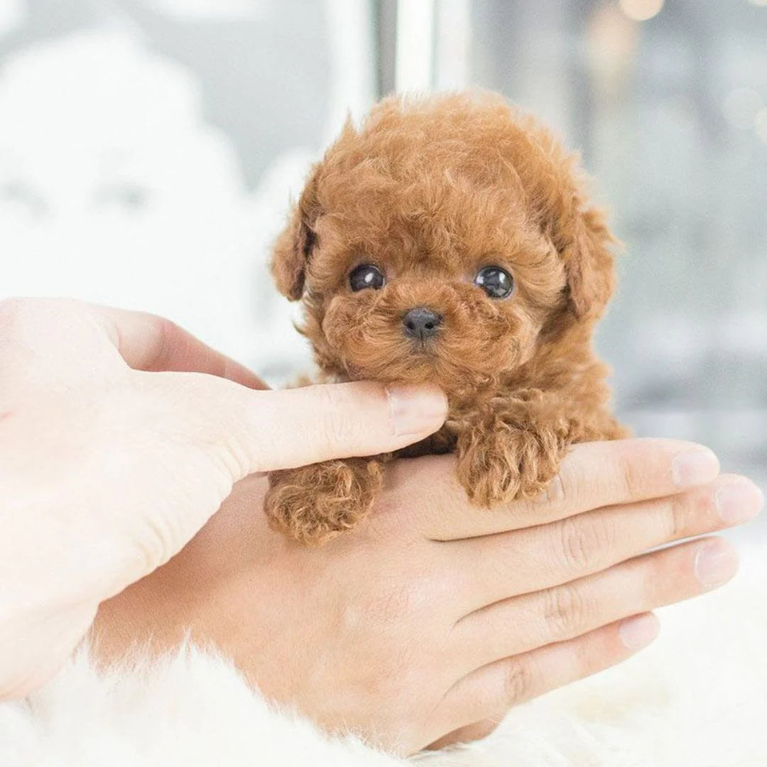 Interactive Plush Puppy Toy with Movement and Sound