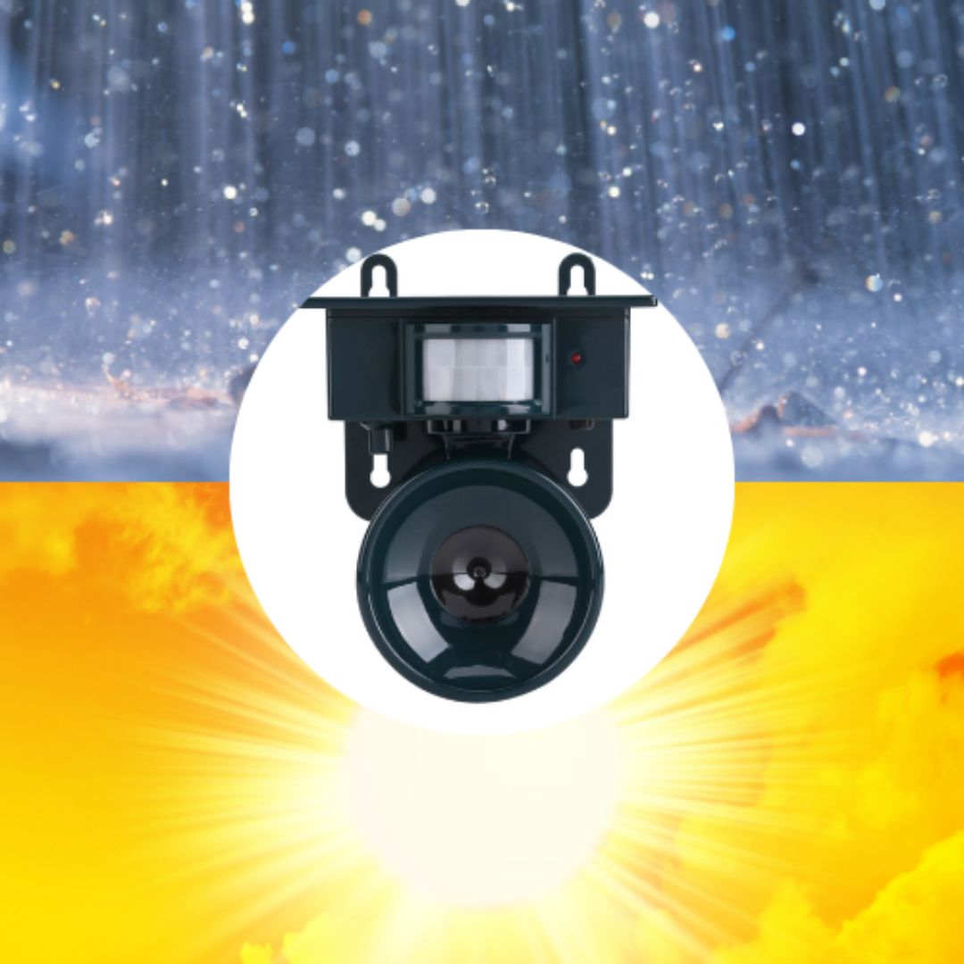 Solar Motion-Sensor Bird Scarer