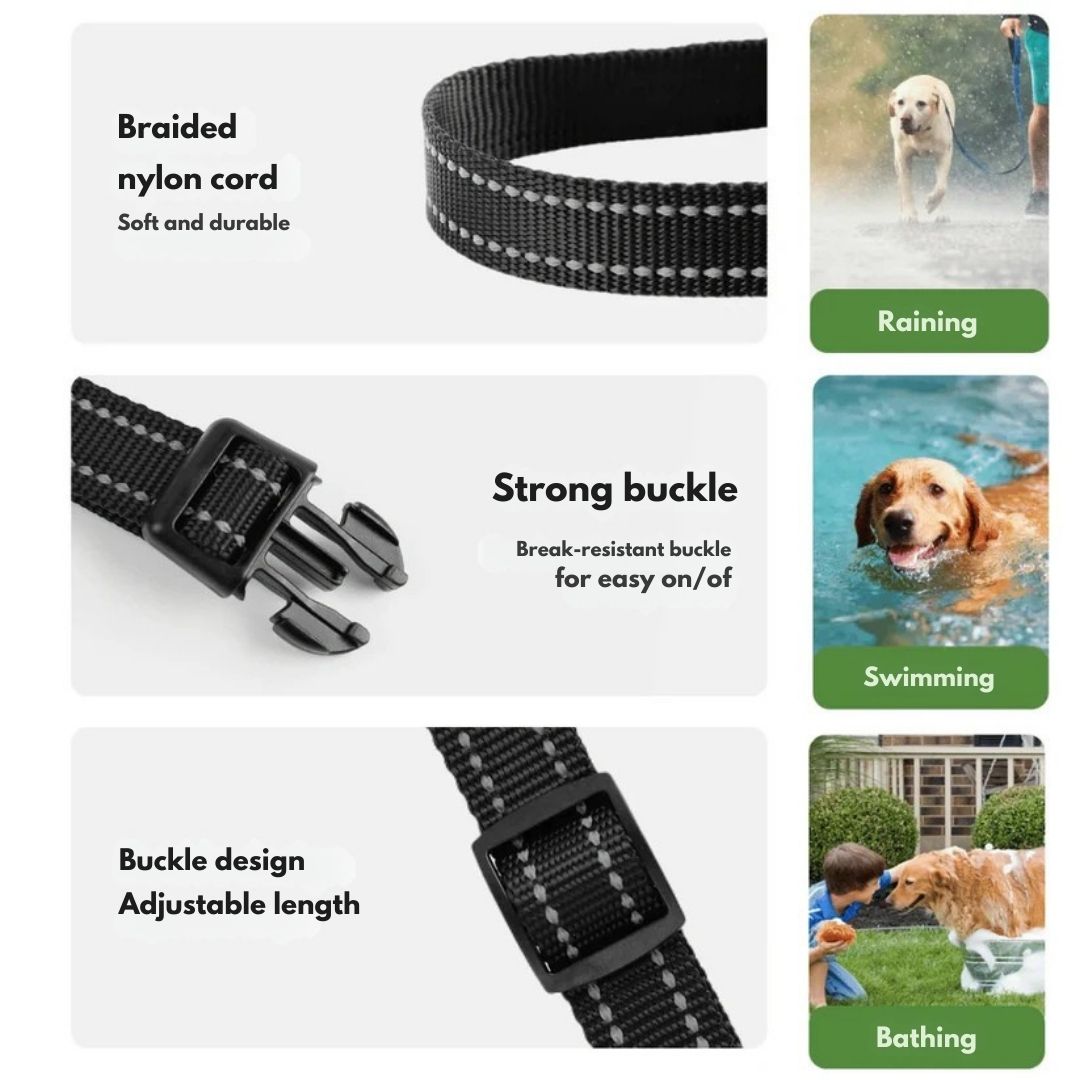 Rechargeable Dog Training Collar with Remote