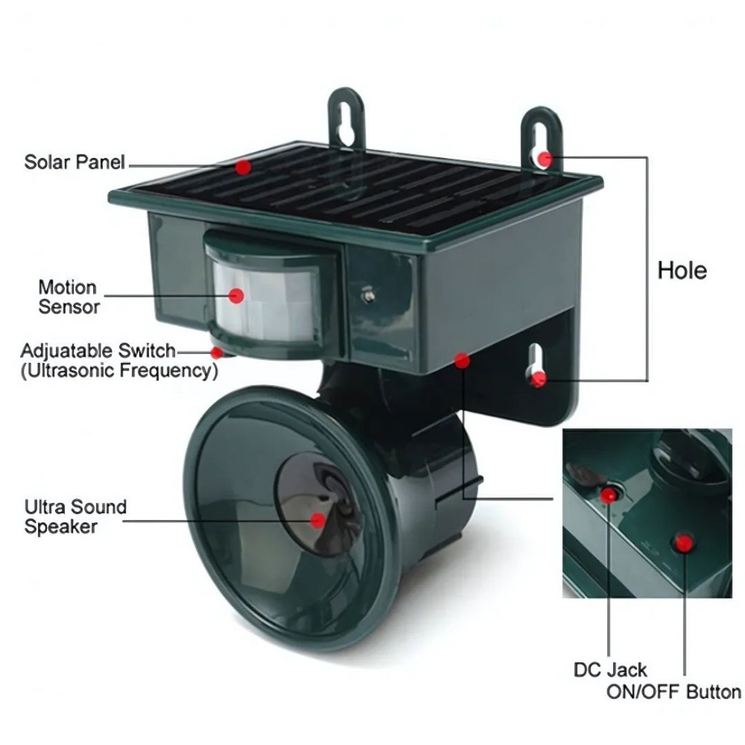 Solar Motion-Sensor Bird Scarer