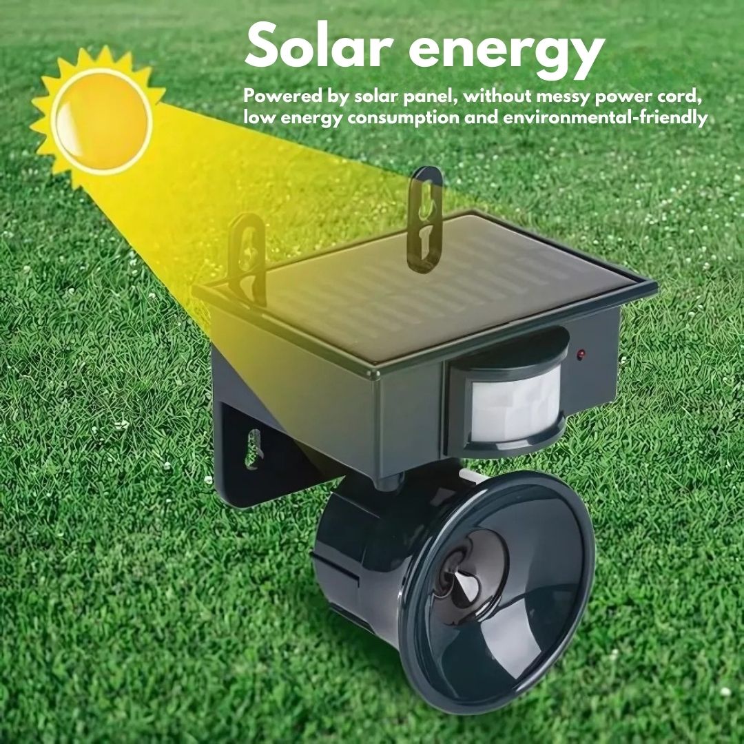 Solar Motion-Sensor Bird Scarer