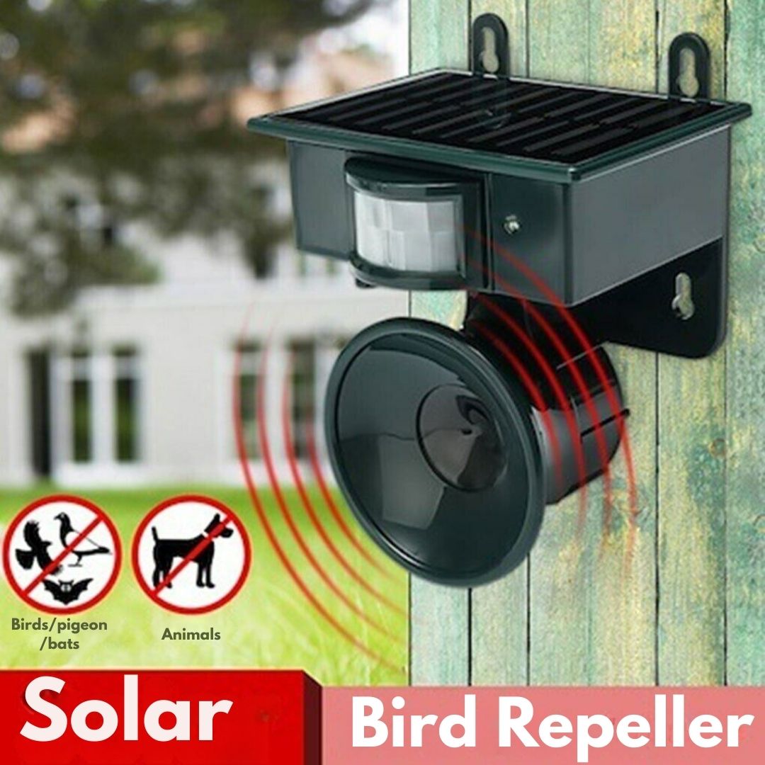 Solar Motion-Sensor Bird Scarer