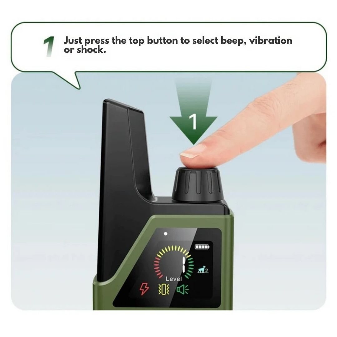 Rechargeable Dog Training Collar with Remote