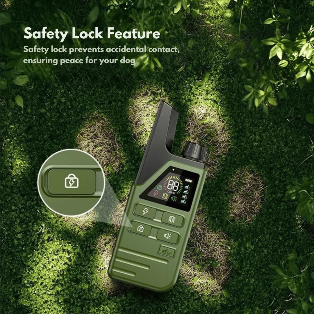 Rechargeable Dog Training Collar with Remote