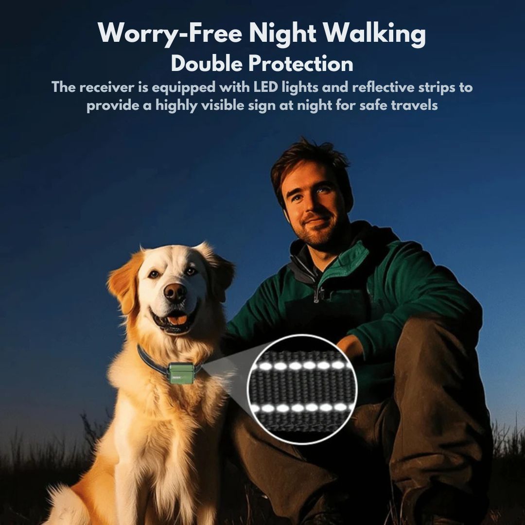 Rechargeable Dog Training Collar with Remote