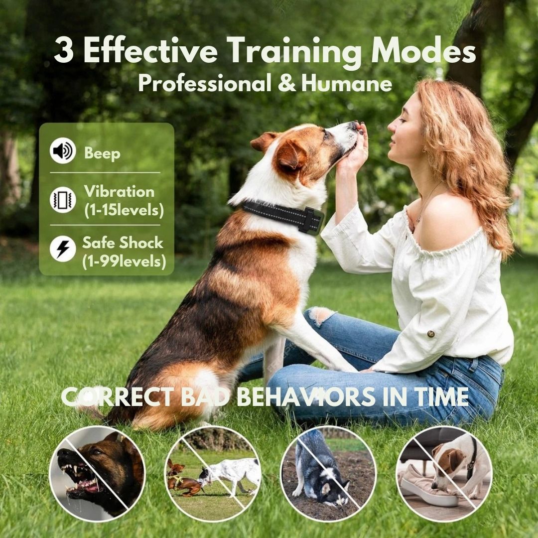 Rechargeable Dog Training Collar with Remote