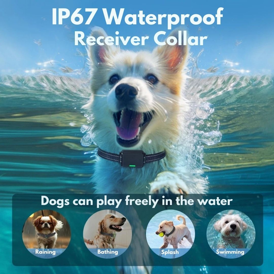 Rechargeable Dog Training Collar with Remote