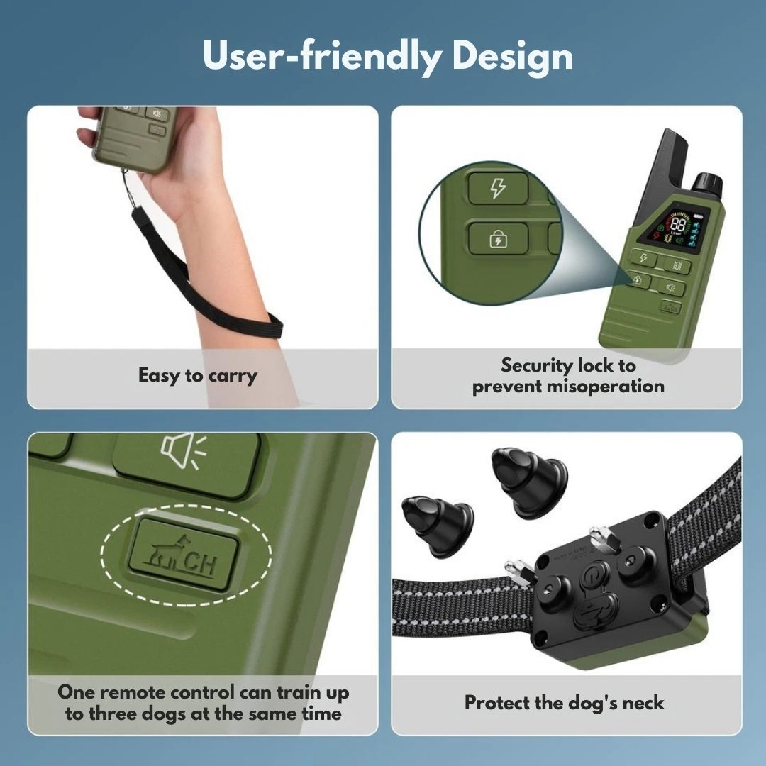 Rechargeable Dog Training Collar with Remote