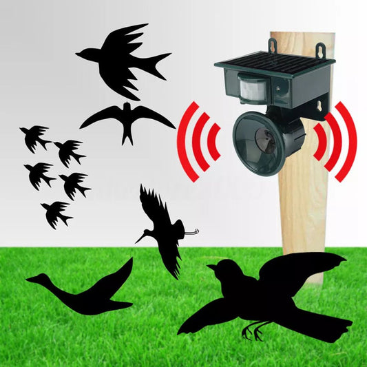 Solar Motion-Sensor Bird Scarer