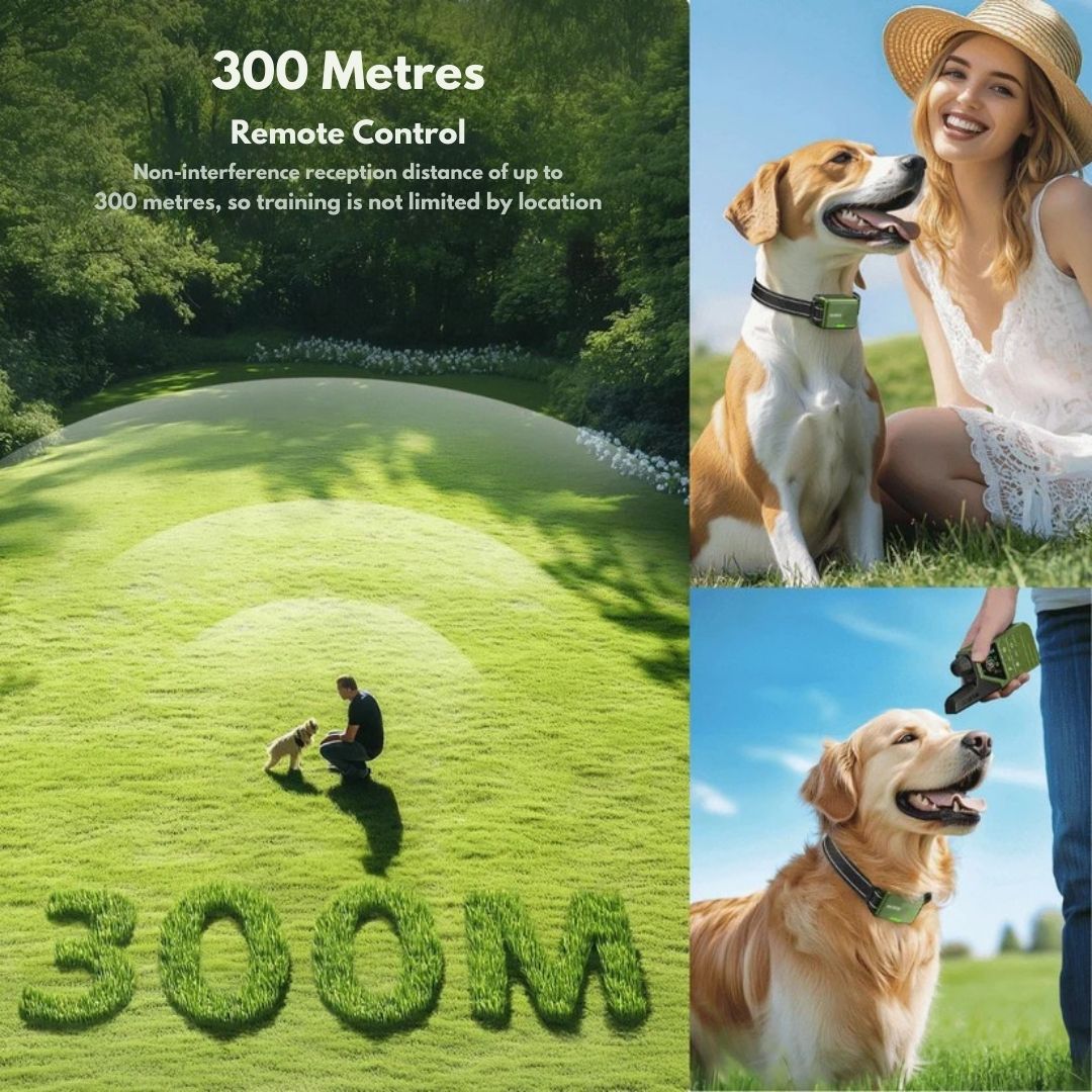 Rechargeable Dog Training Collar with Remote