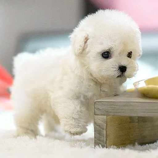 Interactive Plush Puppy Toy with Movement and Sound