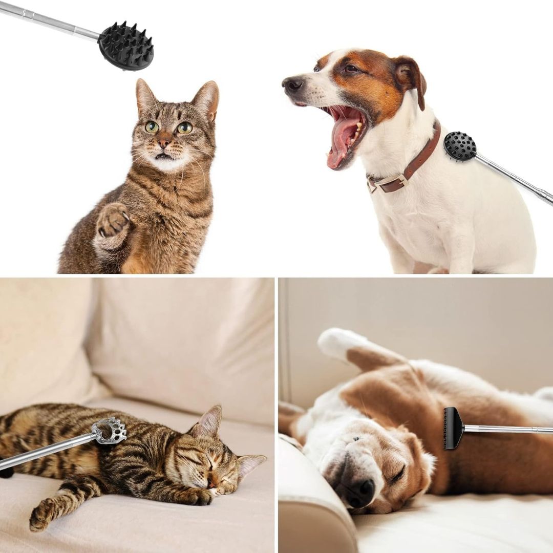 Telescopic Back Scratcher with Interchangeable Heads