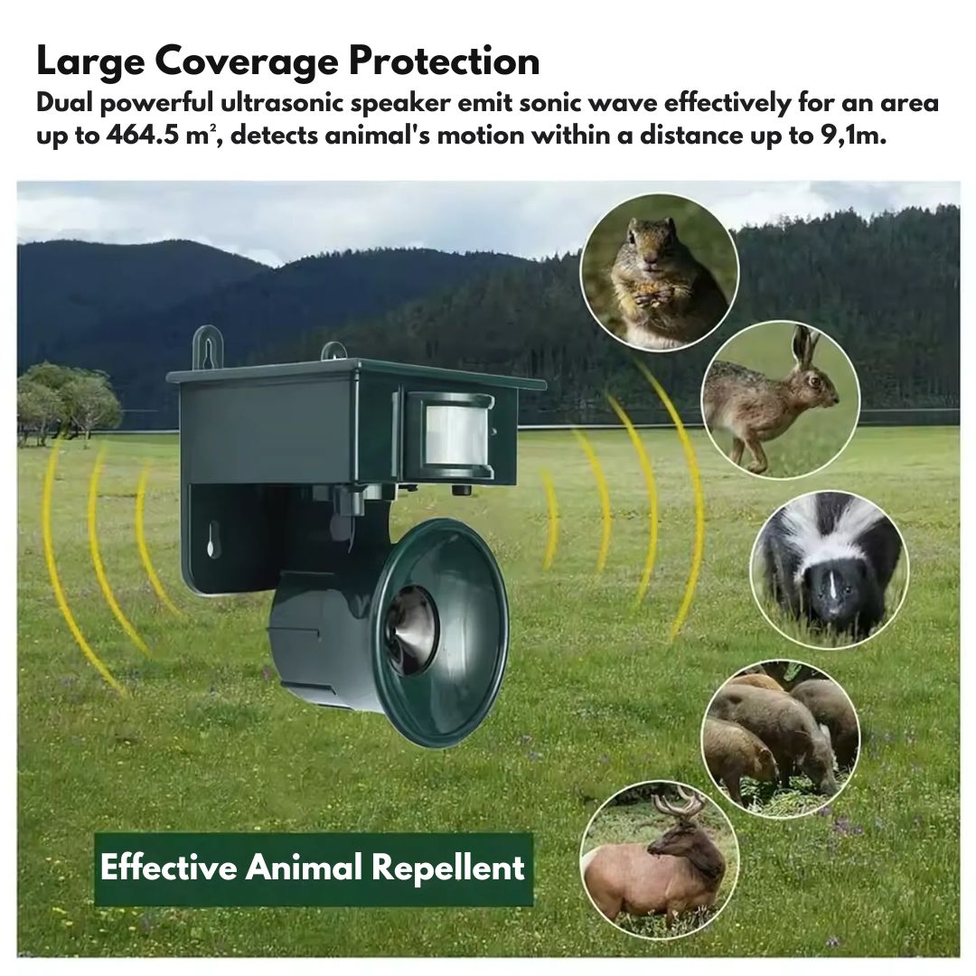 Solar Motion-Sensor Bird Scarer