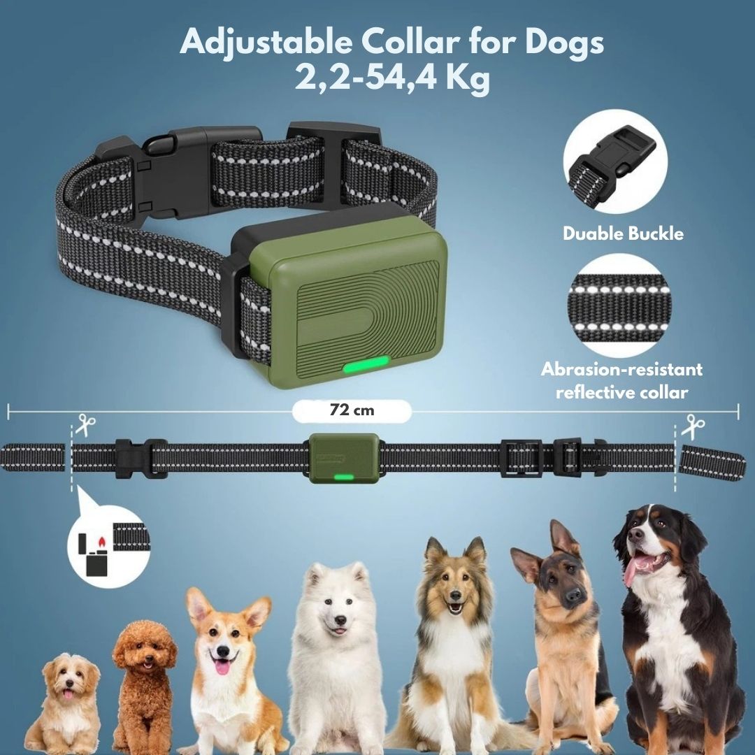 Rechargeable Dog Training Collar with Remote