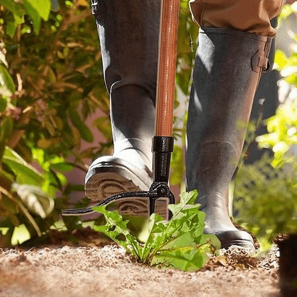 Four-Claw Stand-Up Weed Puller
